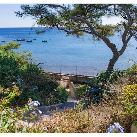 Luxueuse Bord De Villa